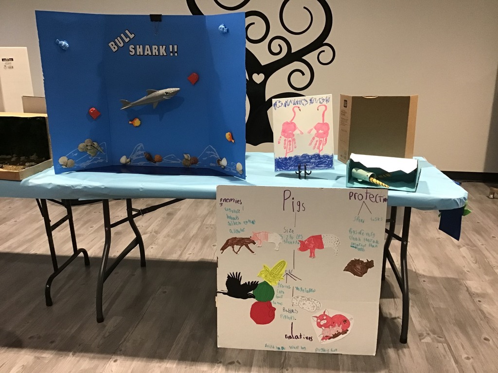 animal projects
