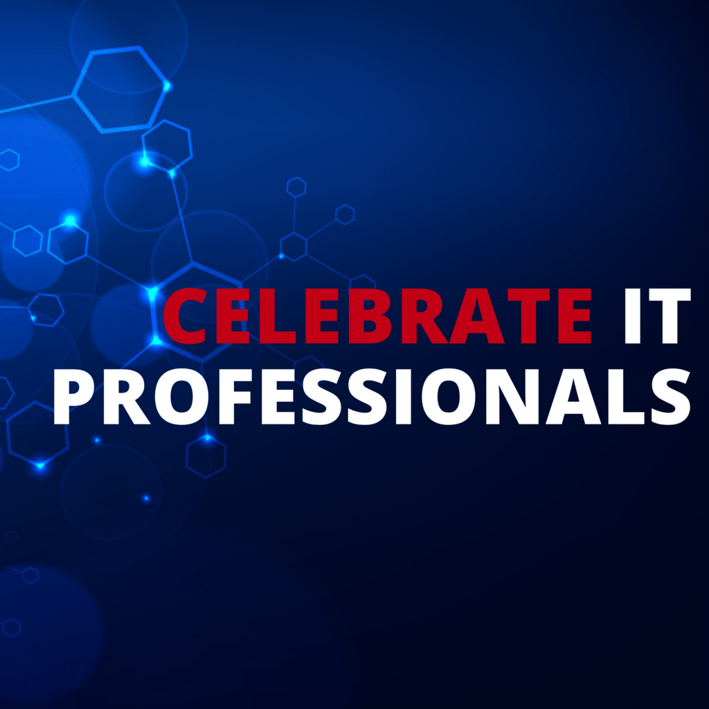 IT professionals day